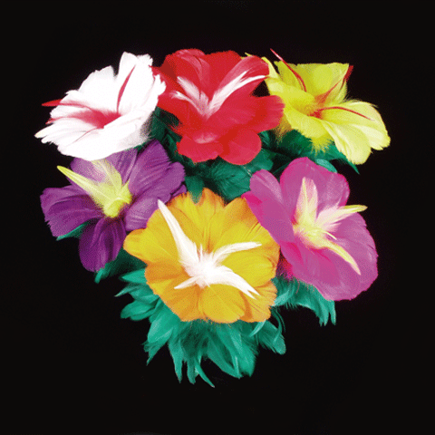 (image for) 6 Flower Feather Bouquet