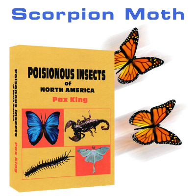 (image for) Scorpion Moth - Mac King