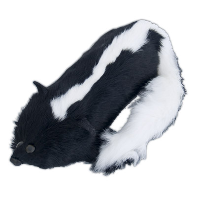 (image for) Lily The Skunk