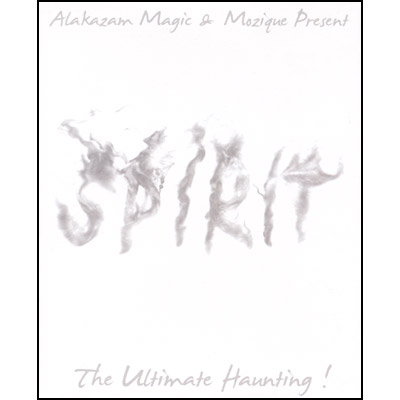 (image for) Spirit - The Ultimate Haunting