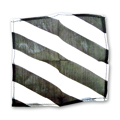 (image for) Zebra Silk - 6 Inch