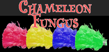 (image for) Chameleon Fungus