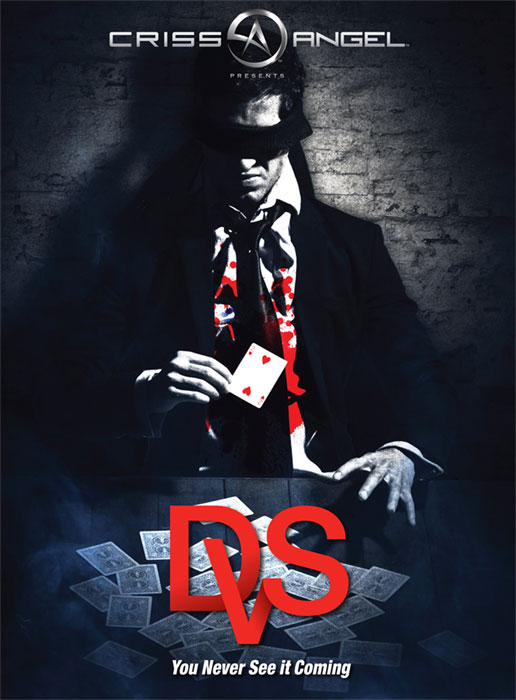 (image for) DVS by Mark Calabrese