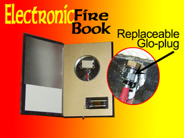 (image for) Hot Book-Electronic