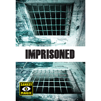 (image for) Imprisoned - DVD and Ginnich - Sankey