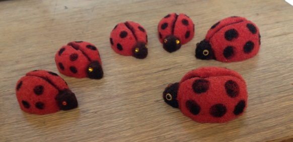 (image for) Sponge Lady Bugs - Eddie Ace - Click Image to Close