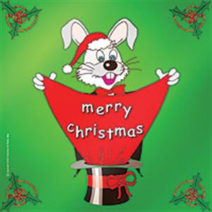 (image for) Merry Christmas Silk - 18 Inch