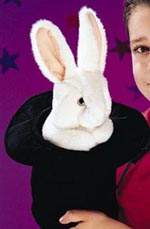 (image for) Rabbit In Hat Puppet
