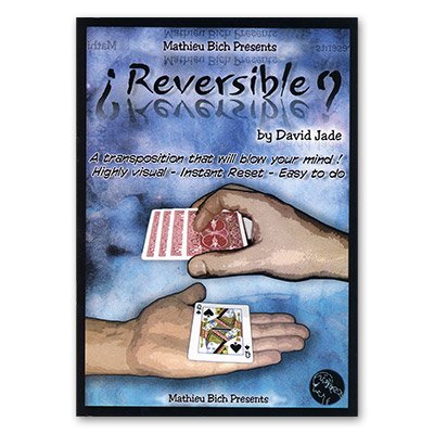 (image for) Reversible - Mathieu Bich