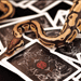 (image for) Venom Deck - US Playing Card