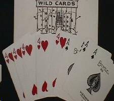 (image for) Wild Card with Directions