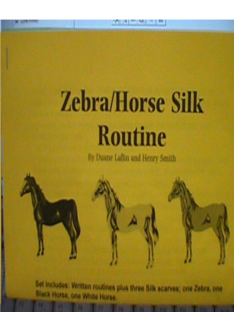 (image for) Zebra Horse Routine