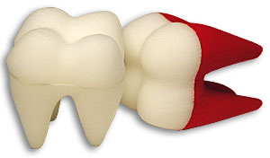 (image for) Foam Tooth 4 1/2" Goshman - White - Click Image to Close