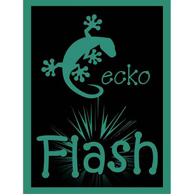 (image for) Gecko Flash