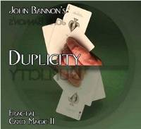 (image for) Duplicity - John Bannon