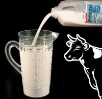 (image for) Milk Pitcher - Click Image to Close