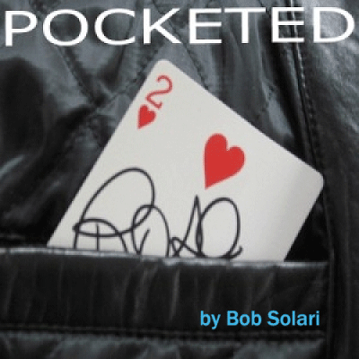 (image for) Pocketed - Bob Solari