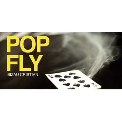 (image for) Pop Fly by Bizau Cristian video DOWNLOAD - Click Image to Close