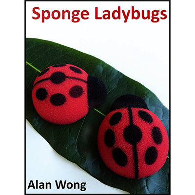 (image for) Sponge Lady Bugs - Alan Wong - Click Image to Close